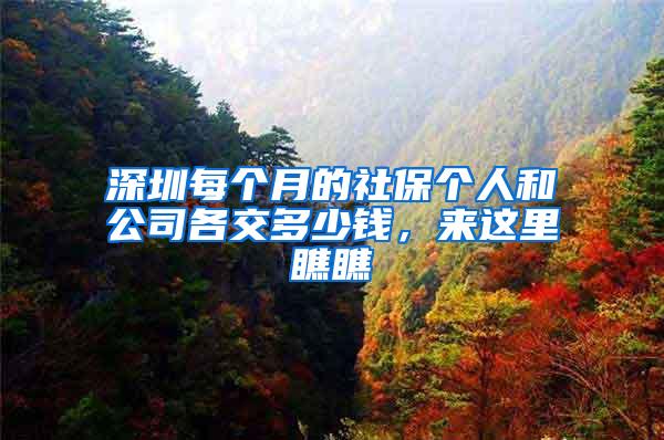 深圳每个月的社保个人和公司各交多少钱，来这里瞧瞧