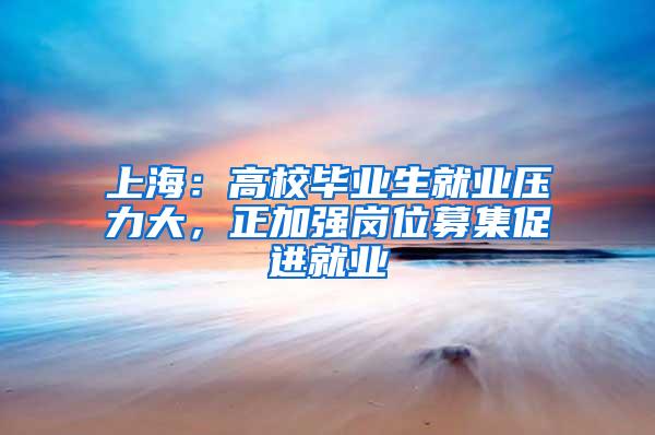上海：高校毕业生就业压力大，正加强岗位募集促进就业