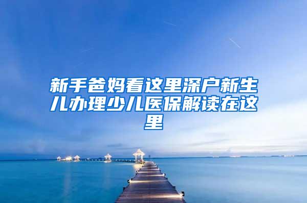 新手爸妈看这里深户新生儿办理少儿医保解读在这里