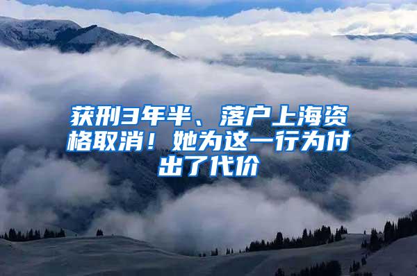 获刑3年半、落户上海资格取消！她为这一行为付出了代价