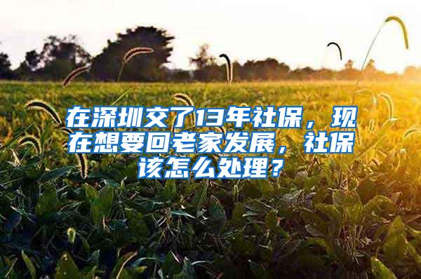 在深圳交了13年社保，现在想要回老家发展，社保该怎么处理？