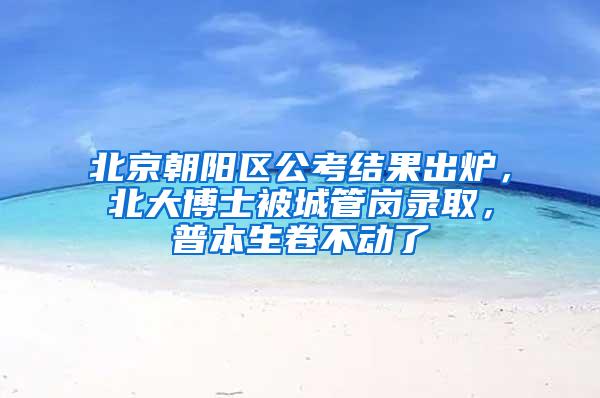 北京朝阳区公考结果出炉，北大博士被城管岗录取，普本生卷不动了