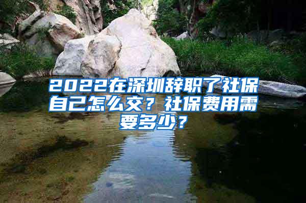 2022在深圳辞职了社保自己怎么交？社保费用需要多少？