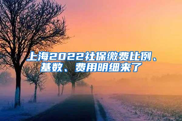 上海2022社保缴费比例、基数、费用明细来了