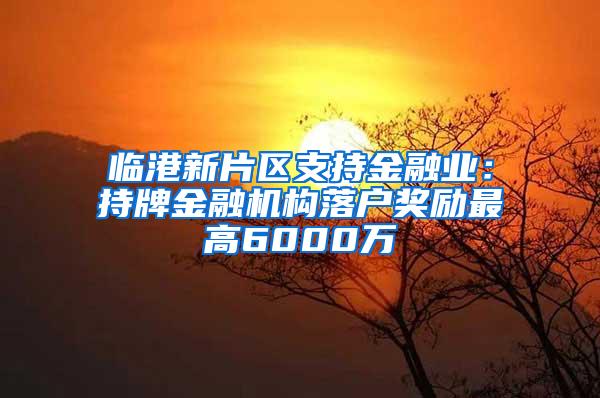 临港新片区支持金融业：持牌金融机构落户奖励最高6000万