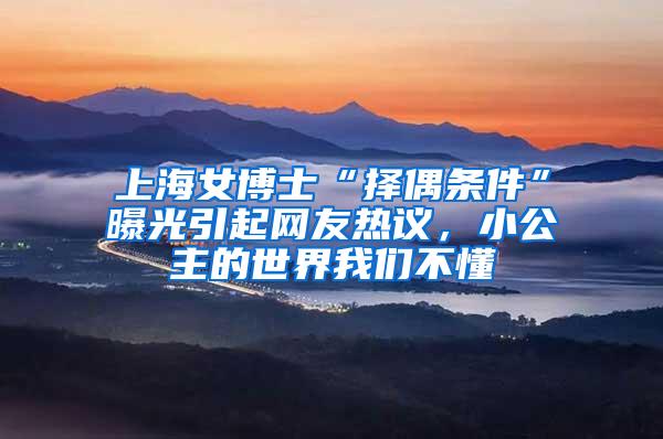 上海女博士“择偶条件”曝光引起网友热议，小公主的世界我们不懂