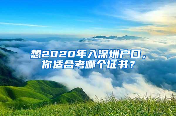 想2020年入深圳户口，你适合考哪个证书？