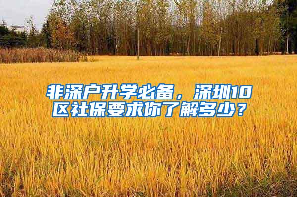 非深户升学必备，深圳10区社保要求你了解多少？