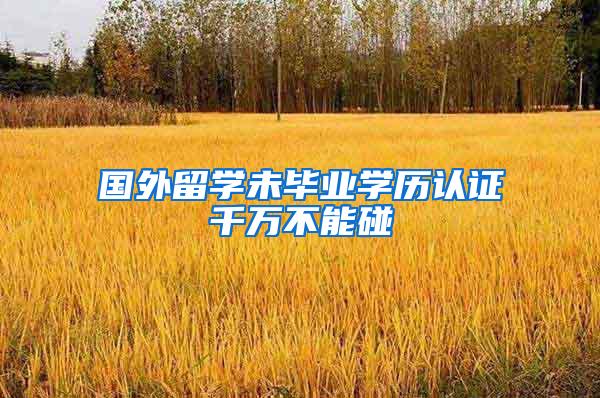 国外留学未毕业学历认证千万不能碰