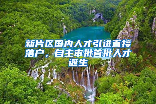新片区国内人才引进直接落户，自主审批首批人才诞生