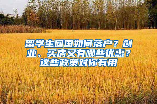 留学生回国如何落户？创业、买房又有哪些优惠？这些政策对你有用