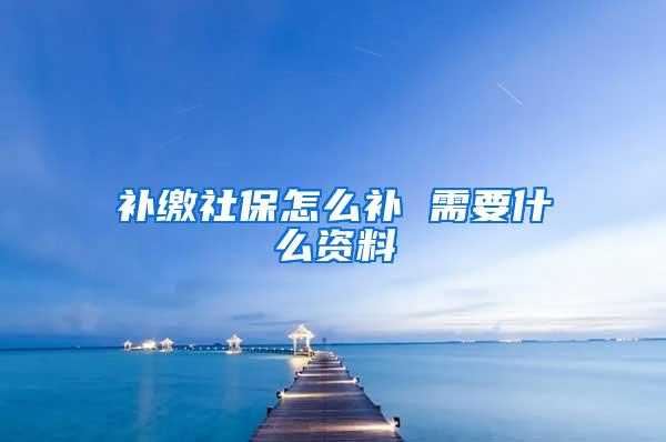 补缴社保怎么补 需要什么资料