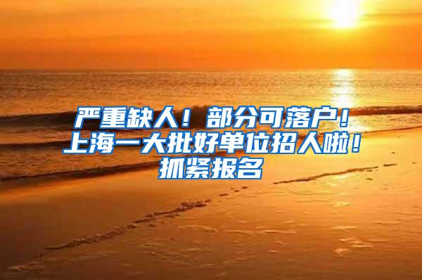 严重缺人！部分可落户！上海一大批好单位招人啦！抓紧报名