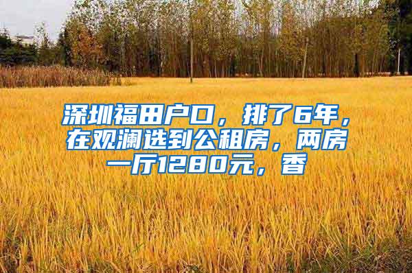 深圳福田户口，排了6年，在观澜选到公租房，两房一厅1280元，香