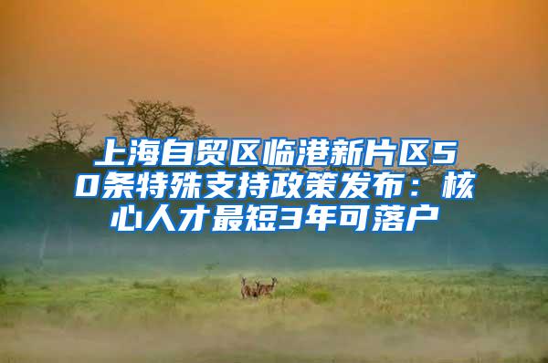 上海自贸区临港新片区50条特殊支持政策发布：核心人才最短3年可落户