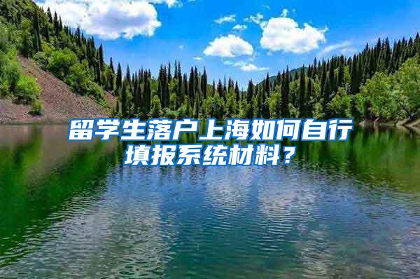 留学生落户上海如何自行填报系统材料？