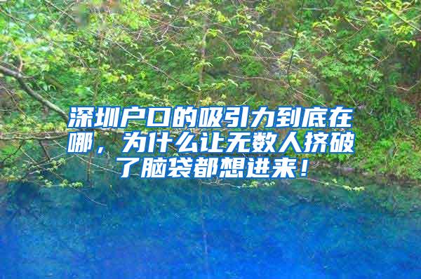 深圳户口的吸引力到底在哪，为什么让无数人挤破了脑袋都想进来！