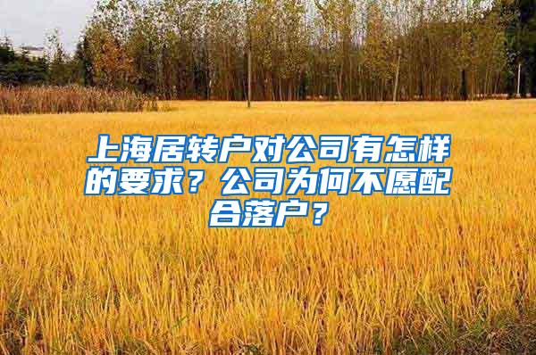 上海居转户对公司有怎样的要求？公司为何不愿配合落户？