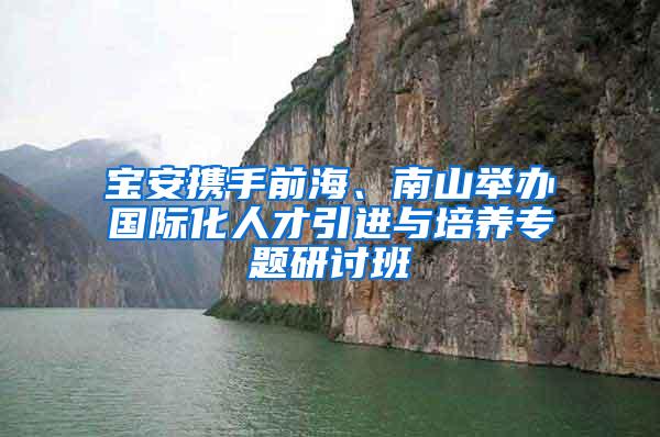 宝安携手前海、南山举办国际化人才引进与培养专题研讨班