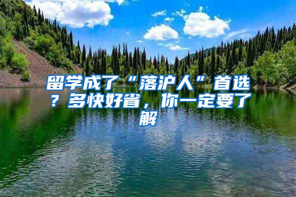 留学成了“落沪人”首选？多快好省，你一定要了解