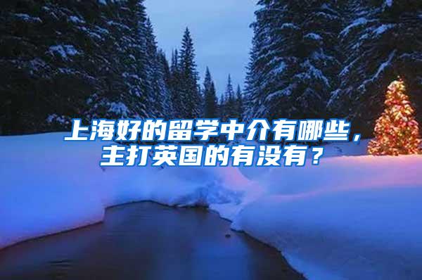 上海好的留学中介有哪些，主打英国的有没有？
