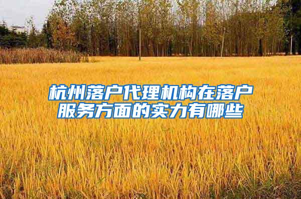 杭州落户代理机构在落户服务方面的实力有哪些