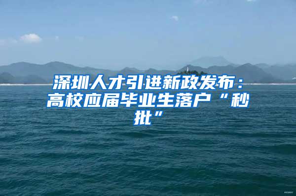 深圳人才引进新政发布：高校应届毕业生落户“秒批”