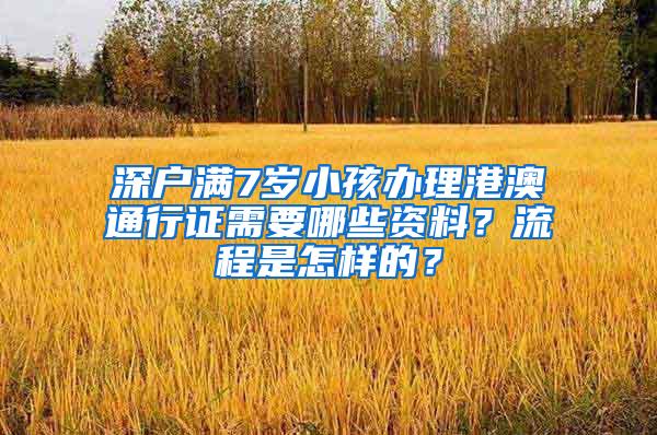 深户满7岁小孩办理港澳通行证需要哪些资料？流程是怎样的？