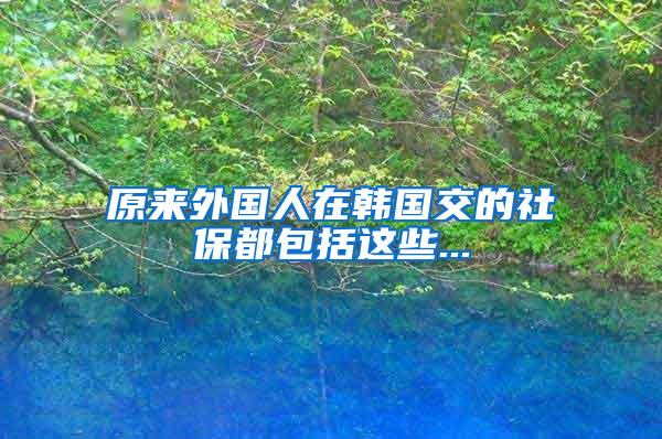原来外国人在韩国交的社保都包括这些...