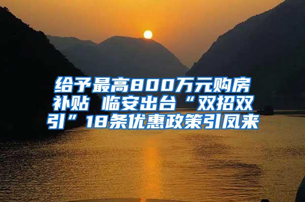 给予最高800万元购房补贴 临安出台“双招双引”18条优惠政策引凤来