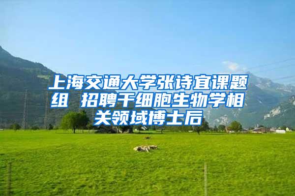 上海交通大学张诗宜课题组 招聘干细胞生物学相关领域博士后