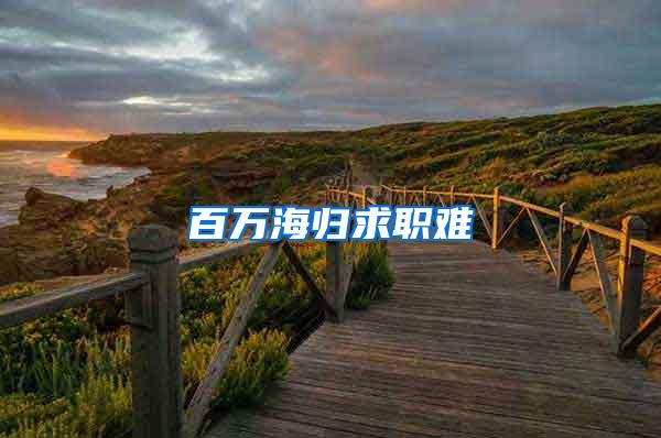 百万海归求职难
