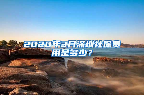 2020年3月深圳社保费用是多少？