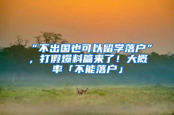 “不出国也可以留学落户”，打假爆料篇来了！大概率「不能落户」