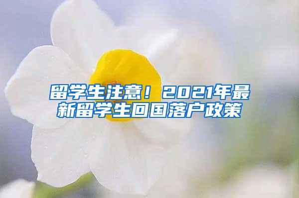 留学生注意！2021年最新留学生回国落户政策