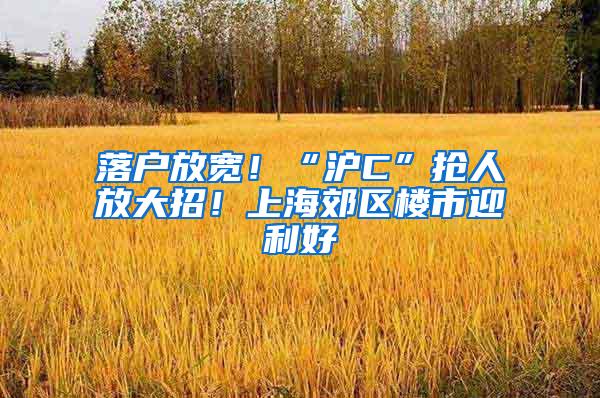 落户放宽！“沪C”抢人放大招！上海郊区楼市迎利好