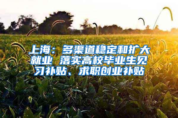 上海：多渠道稳定和扩大就业 落实高校毕业生见习补贴、求职创业补贴