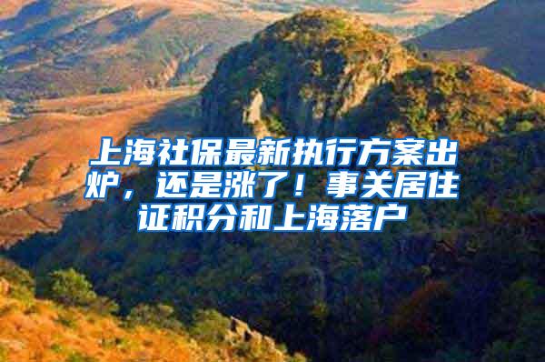 上海社保最新执行方案出炉，还是涨了！事关居住证积分和上海落户