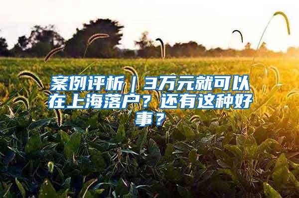 案例评析｜3万元就可以在上海落户？还有这种好事？