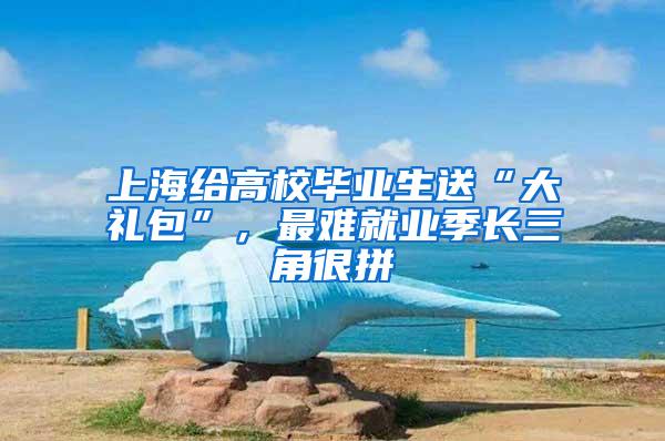 上海给高校毕业生送“大礼包”，最难就业季长三角很拼