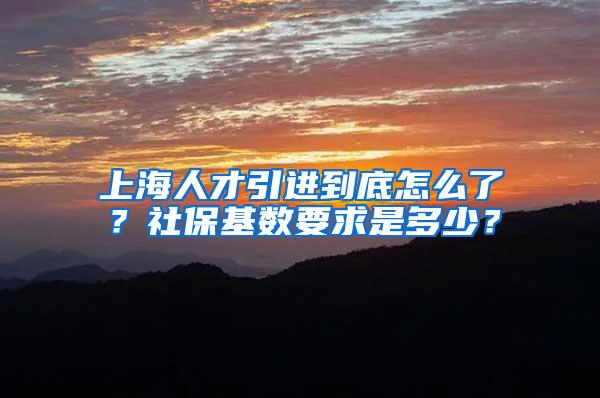 上海人才引进到底怎么了？社保基数要求是多少？