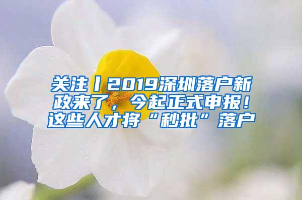 关注丨2019深圳落户新政来了，今起正式申报！这些人才将“秒批”落户