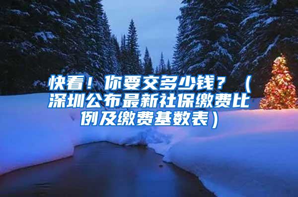 快看！你要交多少钱？（深圳公布最新社保缴费比例及缴费基数表）