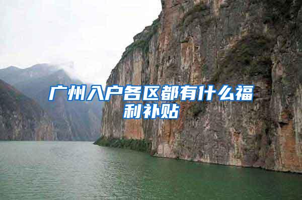 广州入户各区都有什么福利补贴