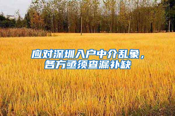 应对深圳入户中介乱象，各方亟须查漏补缺