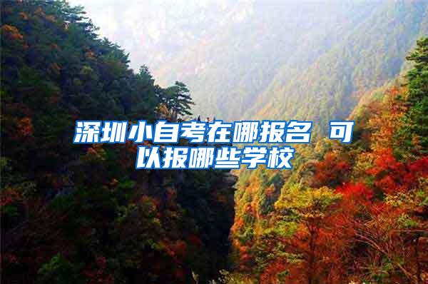 深圳小自考在哪报名 可以报哪些学校