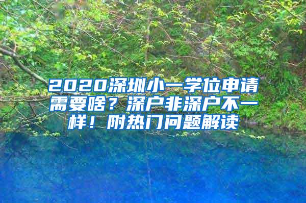 2020深圳小一学位申请需要啥？深户非深户不一样！附热门问题解读