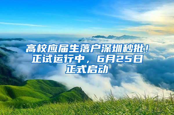 高校应届生落户深圳秒批！正试运行中，6月25日正式启动