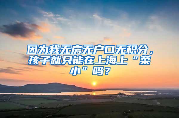 因为我无房无户口无积分，孩子就只能在上海上“菜小”吗？