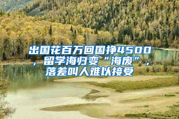 出国花百万回国挣4500，留学海归变“海废”，落差叫人难以接受